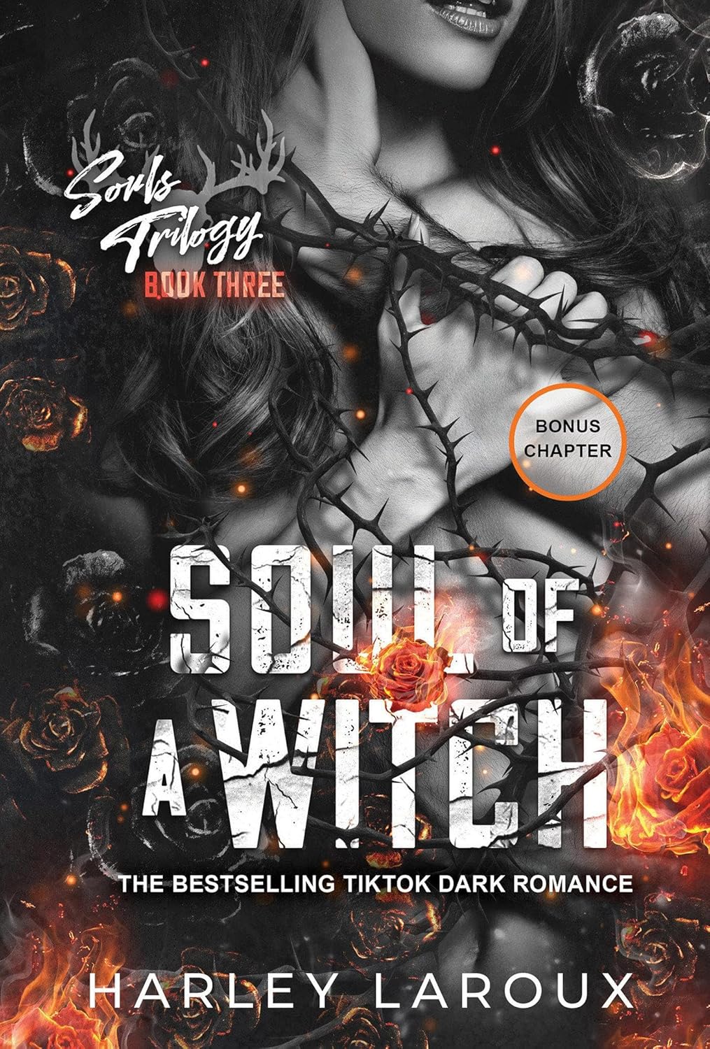 Soul of a Witch: A Spicy Dark Demon Romance by Harley Laroux book cover – Dark Fantasy, Enemies To Lovers, Fantasy Romace, Paranormal, Very High Spice, Witch/Magic romance novel
