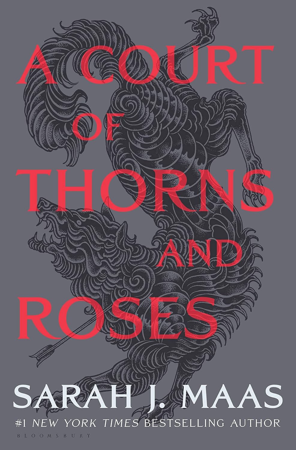 A Court of Thorns and Roses by Sarah J Maas book cover – Enemies To Lovers, Fae Fantasy, Fantasy Romace, Forbidden Romance, High Fantasy, Medium Spice, Witch/Magic romance novel